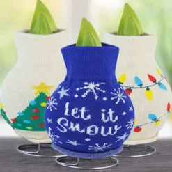 Menu Deck The Halls Sweater Amaryllis Collection 11 Menu Deck The Halls Sweater Amaryllis Collection -US Garden Plants Sales 2024 370 480 bulbs logo 2