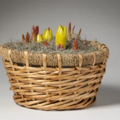 Menu Love & Adoration Potted Bulb Garden -US Garden Plants Sales 2024 477 scaled