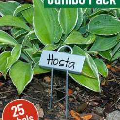 Menu Miniature Plant Labels Jumbo Pack