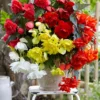 Menu Cascade Mix Begonia -US Garden Plants Sales 2024 71139 cascade mix begonias