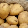 Menu White Seed Potatoes Superior -US Garden Plants Sales 2024 75101 white seed potatoes superior