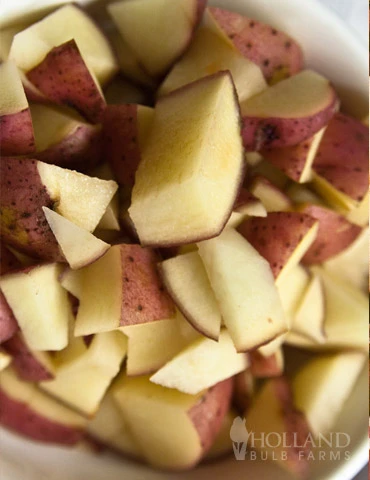 Menu Red La Soda Seed Potatoes (Pontiac) 3 Menu Red La Soda Seed Potatoes (Pontiac)