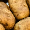 Menu Yukon Gold Seed Potatoes -US Garden Plants Sales 2024 75104 yukon gold seed potatoes