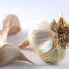 Menu Garlic
