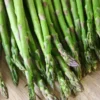 Menu Jersey Giant Asparagus Hybrid 2yr -US Garden Plants Sales 2024 75116 jersey giant asparagus