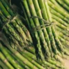 Menu Mary Washington Asparagus 2yr 2 Menu Mary Washington Asparagus 2yr -US Garden Plants Sales 2024 75117 mary washington asparagus 2