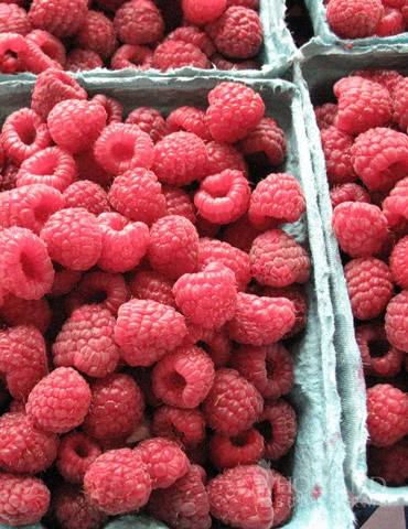 Menu Latham Red Raspberries Plant 3 Menu Latham Red Raspberries Plant