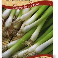 Menu Container/Small Space Vegetable Garden -US Garden Plants Sales 2024 75130 small space garden 6