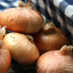 Menu Large Vegetable Garden Collection -US Garden Plants Sales 2024 75133 large vegetable garden 6