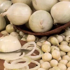 Menu Large Vegetable Garden Collection -US Garden Plants Sales 2024 75133 large vegetable garden 7