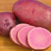 Menu Adirondack Red Potato -US Garden Plants Sales 2024 75153 adirondack red potato