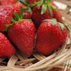 Menu Earliglow Strawberry -US Garden Plants Sales 2024 75162