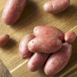 Menu Red Thumb Fingerling Potato