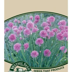 Menu Container/Small Space Vegetable Garden -US Garden Plants Sales 2024 75506 chives front