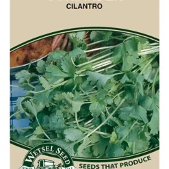 Menu Container/Small Space Vegetable Garden -US Garden Plants Sales 2024 75507 cilantro front