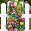 Menu Hummingbird Vertical Garden -US Garden Plants Sales 2024 75727 vertical hummingbird garden 2 1