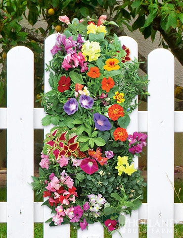 Menu Hummingbird Vertical Garden 3 Menu Hummingbird Vertical Garden