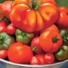Menu Juicy Tomato Garden -US Garden Plants Sales 2024 75731 tomatoes