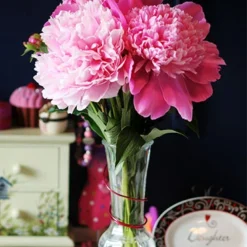 Menu Late Spring Perennial Garden 28 Menu Late Spring Perennial Garden -US Garden Plants Sales 2024 77477 sarah bernhardt peony 3