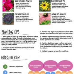 Menu Easy Complete Sun Garden -US Garden Plants Sales 2024 77591 easy complete sun garden 2