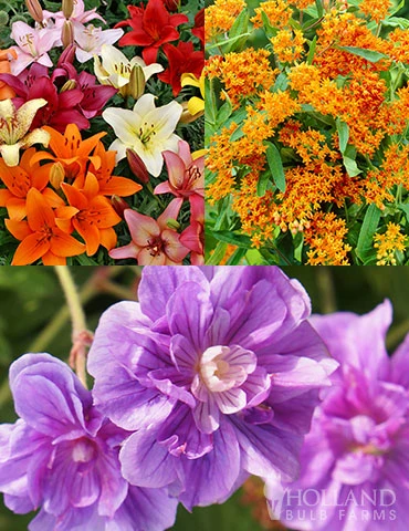 Menu Sunny Perennial Mailbox Garden 4 Menu Sunny Perennial Mailbox Garden - Image 2