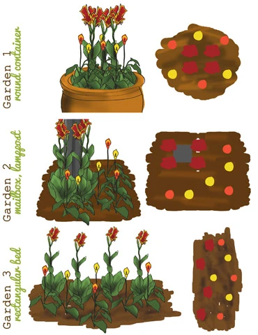 Menu Bridget's Sultry Sun Plant Trio 4 Menu Bridget's Sultry Sun Plant Trio - Image 2