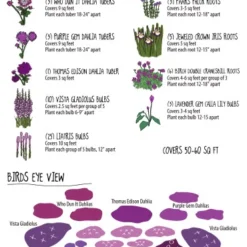 Menu Radiant Orchid Collection W/ Garden Plan -US Garden Plants Sales 2024 79190 radiant orchid collection