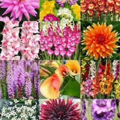 Menu Summer Cut Flower Garden