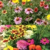 Menu Butterfly And Bee Seed Mat Collection -US Garden Plants Sales 2024 79208 butterfly and bee seed mat duo