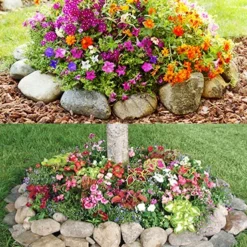 Menu Sun And Shade Tree Ring Seed Mat Collection