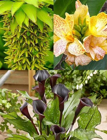 Menu Deer Resistant Container Garden Collection 3 Menu Deer Resistant Container Garden Collection