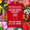 Menu Sizzling Summer Flower Grab Bag -US Garden Plants Sales 2024 79246 sizzling summer grab bag
