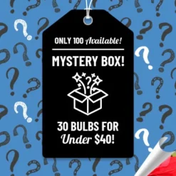 Menu Exclusive Shady Mystery Box
