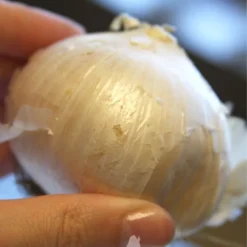 Menu Beautiful Mix Of Allium Collection 31 Menu Beautiful Mix Of Allium Collection -US Garden Plants Sales 2024 81114 mount everest allium 2