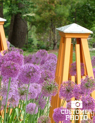 Menu Simple Spring Flowers Garden Collection 11 Menu Simple Spring Flowers Garden Collection - Image 9