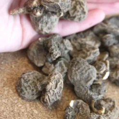 Menu Celebrate Spring Blend -US Garden Plants Sales 2024 83120 grecian windflower 3