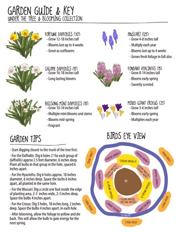 Menu Under The Tree And Blooming Collection 4 Menu Under The Tree And Blooming Collection - Image 2