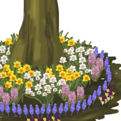 Menu Under The Tree And Blooming Collection 20 Menu Under The Tree And Blooming Collection -US Garden Plants Sales 2024 89114 under the tree blooming collection 3