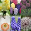 Menu Deer Resistant Spring Blooming Garden -US Garden Plants Sales 2024 89160 deer resistant spring blooming garden