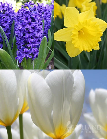 Menu Classic Beauty Spring Collection 3 Menu Classic Beauty Spring Collection