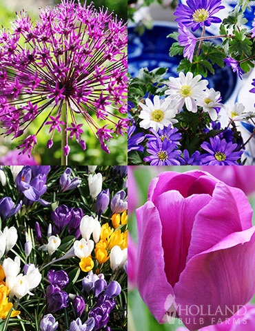 Menu Simple Spring Flowers Garden Collection 3 Menu Simple Spring Flowers Garden Collection