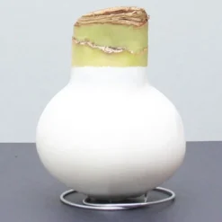 Menu American Spirit Waxed Amaryllis Collection -US Garden Plants Sales 2024 92169 white wax amaryllis2 1