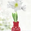 Menu Love Endures Sweater Amaryllis -US Garden Plants Sales 2024 92446 let love grow