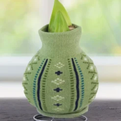 Menu Warm Wishes Sweater Amaryllis Collection 20 Menu Warm Wishes Sweater Amaryllis Collection -US Garden Plants Sales 2024 Cardigan 370 480 bulbs logo 2