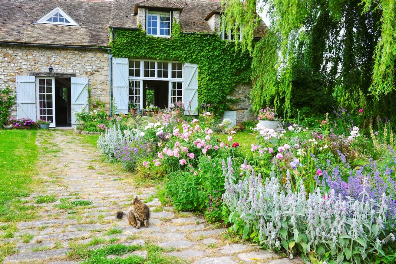 Front Page -US Garden Plants Sales 2024 Dingtalk 20240123110241