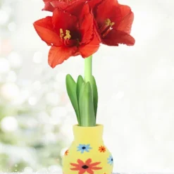 Menu Sunshine Daydream Sweater Amaryllis