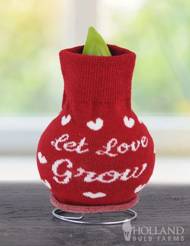 Menu Love Is In The Air Sweater Amaryllis Collection 10 Menu Love Is In The Air Sweater Amaryllis Collection - Image 8