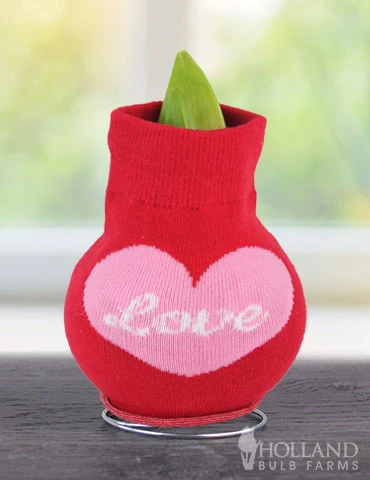 Menu Love Is In The Air Sweater Amaryllis Collection 8 Menu Love Is In The Air Sweater Amaryllis Collection - Image 6