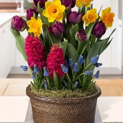 Menu Full Of Fun Potted Bulb Garden