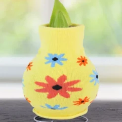 Menu Flower Love Forever Sweater Amaryllis Collection 15 Menu Flower Love Forever Sweater Amaryllis Collection -US Garden Plants Sales 2024 Snowman 370 480 bulbs logo 1